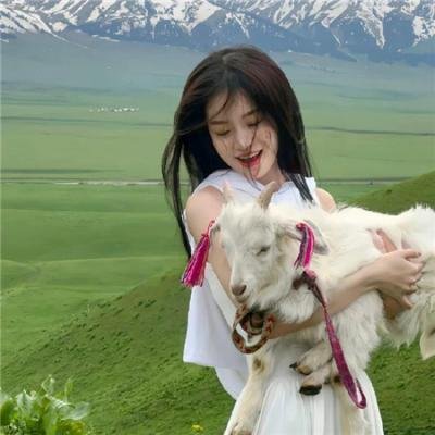 网美嬉游记